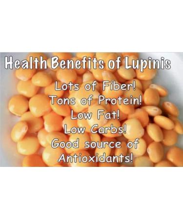 Beirut Style Lupini Beans 32 Oz / 946 ML - Pack of 2 Glass Jars    - Buy Online on GoSupps.com