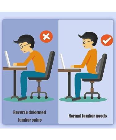 Ergonomic Return Pillow for Back Pain Relief | Lumbar Support & Posture Correction | Sciatica & Herniated Disc Comfort - Buy Online on GoSupps.com