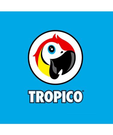 Tropico Boisson aux Fruits Saveur Fraise et Kiwi Canette 33cl Pack de 24 - Buy Online on GoSupps.com