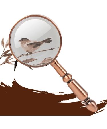 20x Full Metal Handheld Magnifier with Detachable Design Retro Metal Frame High-Definition Optical Glass Magnifier Old Man Reading Newspaper & Reading Magnifier Microscope - Buy Online on GoSupps.com
