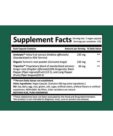 Amla & Beyond (Nisa Amalaki) Dr. Gumman's Clinical Grade Highest Potency Maximum Bioavailability - Buy Online on GoSupps.com