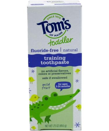 Tom's of Maine Fluoride-Free Children's Toothpaste - Mild Fruit Flavor - 1.75 oz - 2 Pack | International Shipping Available - Buy Online on GoSupps.com