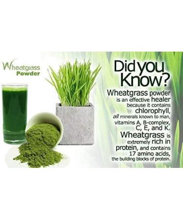 READ QURA Organic Wheatgrass Powder 200gram - Buy Online on GoSupps.com