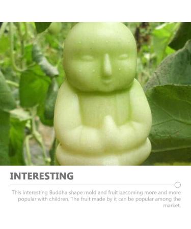 UPKOCH 4 Pcs Fruit Shaping Mold Buddha Shaped Vegetable Shaping Mold Ginseng Shaping Tools Growing Mould Growth Forming 4pcs - Buy Online on GoSupps.com
