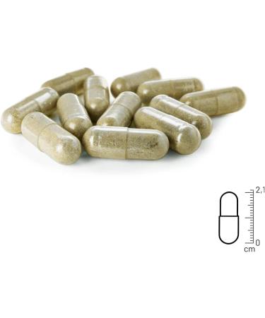 Animal Supply Worm Herb Capsules for Dogs - 50 Natural Tablets - Herbal Worm Treatment & Worming Agent - Buy Online on GoSupps.com