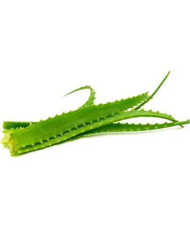 Vonderweid Father Zago Aloe Arborescens Whole Leaf Juice 500 ML - Immunostimulant Nutritional Supplement - Buy Online on GoSupps.com