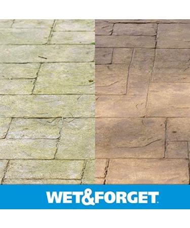 Buy Wet & Forget Moss & Mold Remover - Multi-Surface Outdoor Cleaner Concentrate (64 oz 2 Pack) - Effective Algae Stain Solution | Fast International Shipping - Buy Online on GoSupps.com