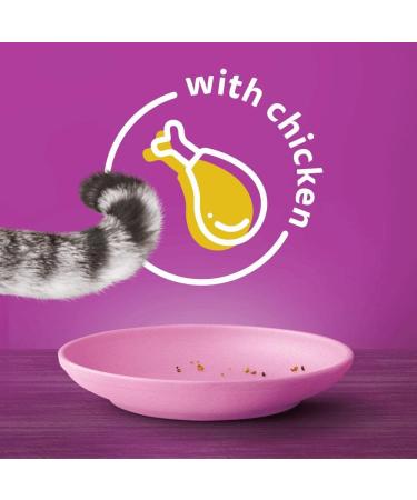 Whiskas Junior Chicken 7 kg Bag Kitten Cat Dry Food - Pack May Vary 7 kg (Pack of 1) - Buy Online on GoSupps.com