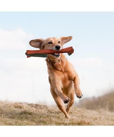 Dongker Bite Sausage for Dogs | Durable Leather Tug Toys with Nylon Loop | 20/30/40cm Training & Play - Buy Online on GoSupps.com