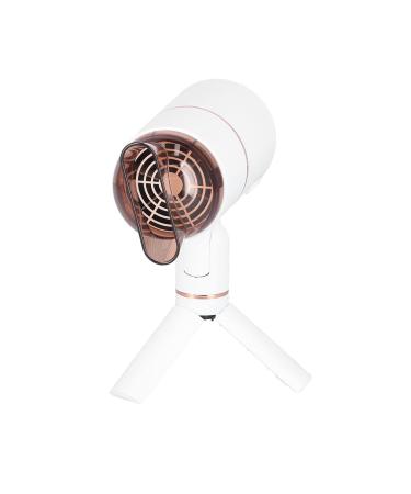 Blow Dryer Easy to Operate PVC Foldable Lightweight Hair Dryer for Home for Travel for Salon(#1)