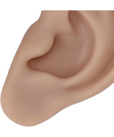 Silicone Ear Model for Earrings | Flexible Simulation Ear for Jewelry Display & Acupuncture Training - 1 Pair (Brown) - Buy Online on GoSupps.com