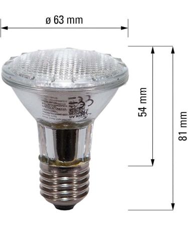 Buy SOLAR RAPTOR UV Halogen Spot 50W - Premium Reptile Heat Lamp for Terrariums | Daylight Spectrum - Buy Online on GoSupps.com