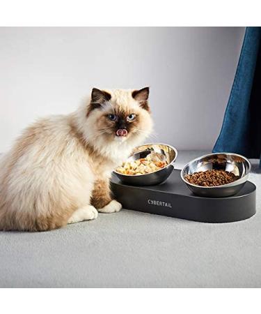 Meta Title: PETKIT Stainless Steel Raised Dog Cat Food Bowl - Sturdy Elevated Feeder Bowl for Cats and Dogs - Buy Online on GoSupps.com