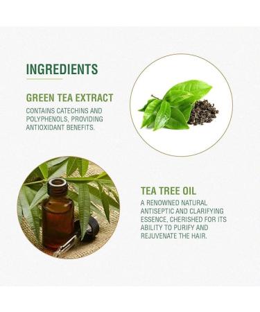 Green Tea Hair Conditioner - Shine & Strength 300ml | Paraben-Free for All Hair Types - Buy Online on GoSupps.com