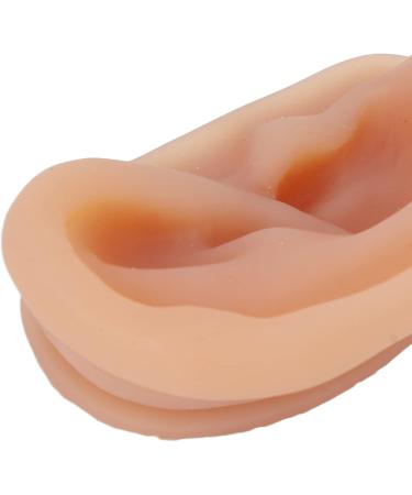 Silicone Ear Model for Acupuncture - Soft Practice Tool with Display Stand | Ideal for Piercing & Display | International Shipping Available - Buy Online on GoSupps.com