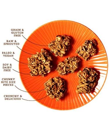 Lark Ellen Farm Organic Paleo Granola Bites - Cacao Cherry 8 oz (Pack of 3) - Buy Online on GoSupps.com