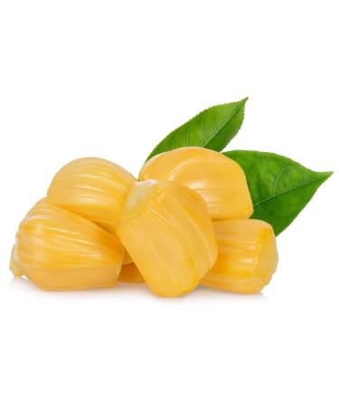 Peeled Jackfruit 500gr x 2 pack