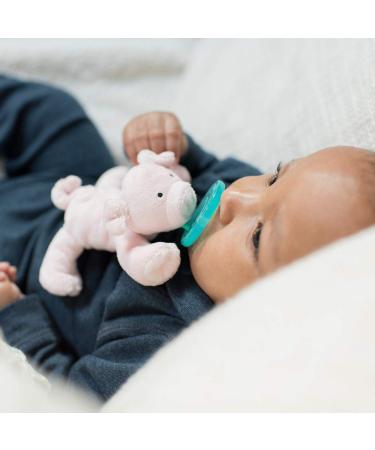 WubbaNub Piglet Infant Pacifier - Soothing Baby Pacifier with Plush Piglet Toy - Buy Online on GoSupps.com