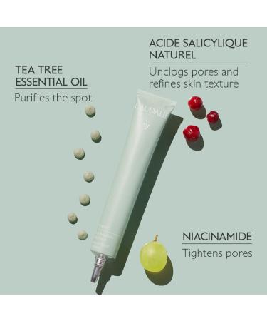 Caudalie Vinopure Salicylic Spot Solution - 15 mL - Buy Online on GoSupps.com