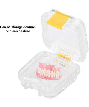 Professional Dental Protection Box for False Teeth | Membrane Tooth Storage Case - International Shipping - Buy Online on GoSupps.com