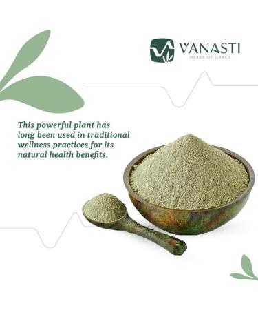 VANASTI Bhumi Amla Powder | Bhoomi Awla Powder| Phyllanthus Niruri | Fillanto Niruhi | 100 gram - Buy Online on GoSupps.com