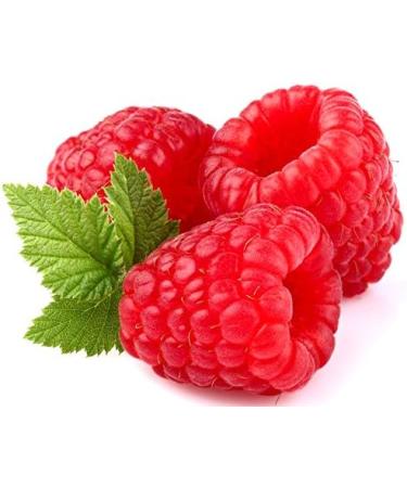 Flavour Factory DIY Flavour Concentrates for E-Liquids Blueberry Strawberry Raspberry (3 x 28.5ml) - Buy Online on GoSupps.com