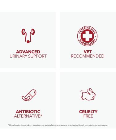 Urinary Care Cranberry Supplement for Dogs & Cats by PETPAL | Super Concentrated Powder | Urinary Tract Health Bladder Care UTI Stones Incontinence Support | Result in 30 Days | 2 oz / 60g - Buy Online on GoSupps.com