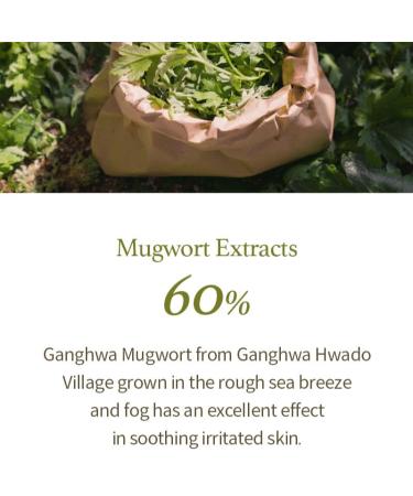 Mugwort Gel Cleanser 150ml | Soothing Low pH Herbal Face Wash for Sensitive Skin | Vegan & Hypoallergenic - Buy Online on GoSupps.com