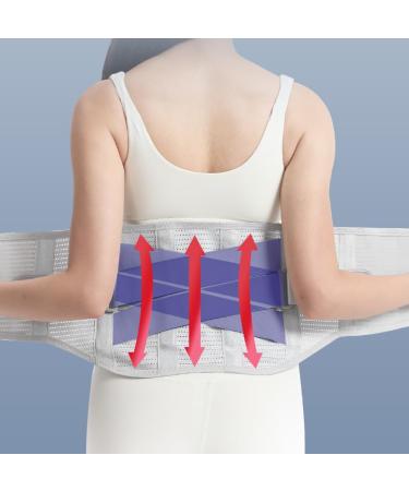 Back Braces for Lower Back Pain Relief | Breathable Support Belt for Men & Women | Anti-Skid Lumbar Support for Sciatica (Large) - International Shipping - Buy Online on GoSupps.com