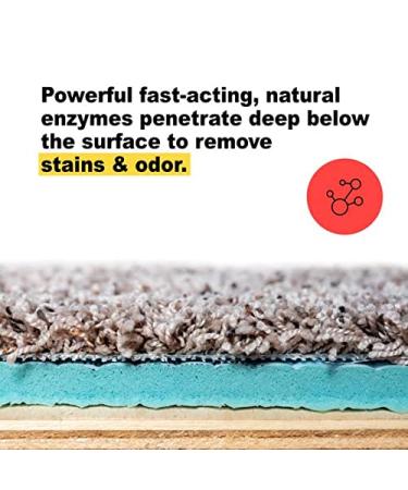 Urine Gone Pet Stain Remover & Odor Eliminator - Heavy Duty Carpet Cleaner - Enzyme Fabric Spray for Dog & Cat - 24 Fl Oz - Buy Online on GoSupps.com