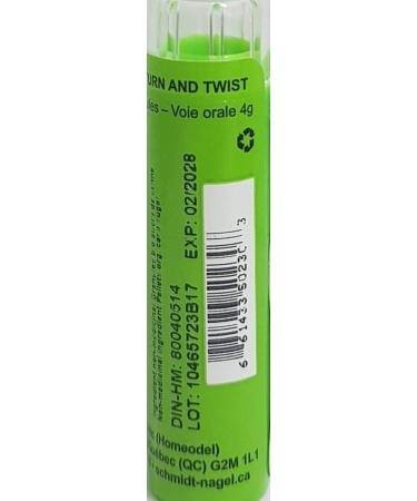 Kalium Bichromicum (Kali Bichromicum) 6CH Homeopathy Medicine Schmidt-Nagel Canada (Homeodel) 90 pellets/granules - Buy Online on GoSupps.com