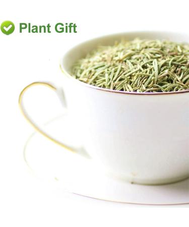 Flower 2 (80G-Rosemary) - Buy Online on GoSupps.com
