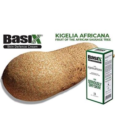 Basix Skin Defence Repair Cream for Eczema, Psoriasis & Dermatitis - Natural Ingredients for Dry, Itchy Skin - Kigelia, Lemon, Ginger, Rosemary & Vitamin E - Buy Online on GoSupps.com