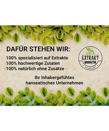 St. John's Wort Extract 100g Powder - Additive-Free Hypericum Perforatum | Naturrein Vegan | Made in Germany - Buy Online on GoSupps.com