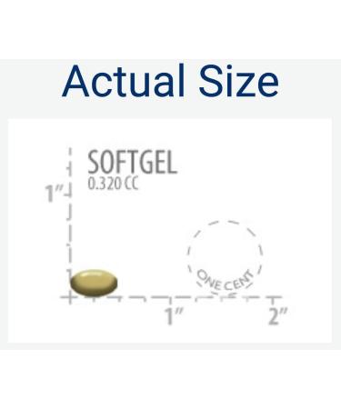 Life Extension Super K 150 Softgels (Pack of 2) with Vitamins K and K2 150 Count (Pack of 2) - Buy Online on GoSupps.com