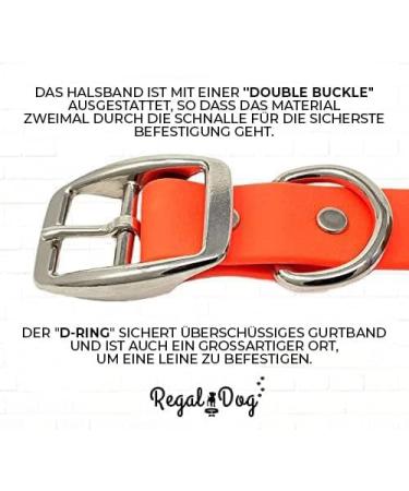 Regal Dog Products Waterproof Dog Halfband Collar for Small Medium & Large Dogs - Orange | Durable & Stylish Dog Collars for Puppies to Large Breeds - Buy Online on GoSupps.com