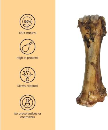 Jumbo Size Roasted Beef Shin Leg Bone Dog Treats Dog Food Dog All Natural and Healthy Dog Bone Treat Chews. Premium Grade XL Bone 1.5kg - Perfect for Medium and Large Dogs - Buy Online on GoSupps.com