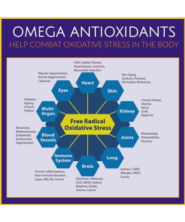 Superba Krill Oil Extract 500mg - 60 Soft Gel Capsules | Antarctic Krill, Astaxanthin, Omega 3, UK Made - Buy Online on GoSupps.com