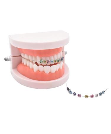 Temporary Tooth Decoration Pack - Metal Wires Bracket & Ligature Ties for Dental Practice | Multiple Colors - Buy Online on GoSupps.com
