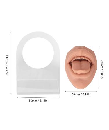 Soft Silicone Tongue Model with Acrylic Stand | Life-like Mouth Model for Jewelry & Piercing Practice | Ideal for Nursing Training - Meat Blonde - Buy Online on GoSupps.com