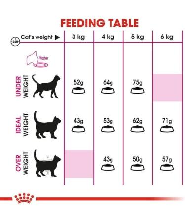 Royal Canin Protein Exigent | Pack of 3 | Pack of 3 | 3 x 400 g | Complete food for particularly fussy cats from 12 months - Buy Online on GoSupps.com