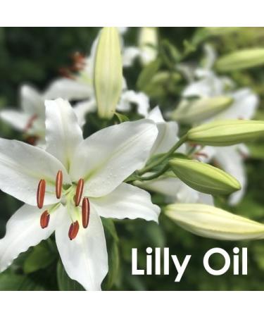 Lily Essential Oil 100% Pure & Natural | Aromatherapy Scented Fragrance Oil | Therapeutic Grade Lilium Auratum (15 ML) - International Shipping Available - Buy Online on GoSupps.com