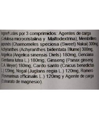  ERLINGEN Foundation primer - 170g - Buy Online on GoSupps.com