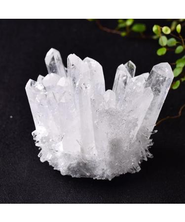 Room Decoration 1pc Natural Amethyst Cluster Crystal Quartz Specimen Reiki Stone Rough Crystals Home Decor (Color : Green Size : 400-500g) 400-500g Green - Buy Online on GoSupps.com