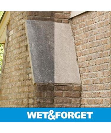 Buy Wet & Forget Moss & Mold Remover - Multi-Surface Outdoor Cleaner Concentrate (64 oz 2 Pack) - Effective Algae Stain Solution | Fast International Shipping - Buy Online on GoSupps.com