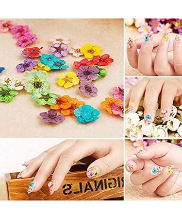 Dried Flowers for Nail Art - Mini Real Natural Five Petal Flower Sticker Decals - Buy Online on GoSupps.com
