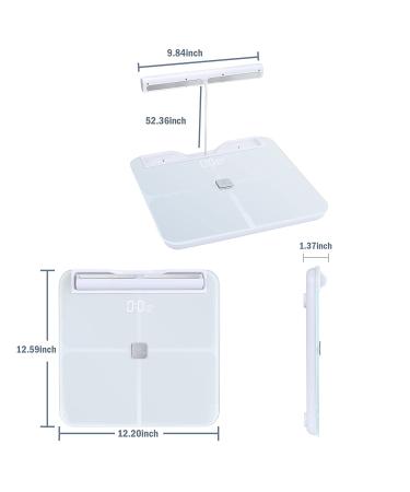 Squamae Smart Scale: Full Body Composition Analyzer with 8 Electrodes and Bluetooth - White - Buy Online on GoSupps.com