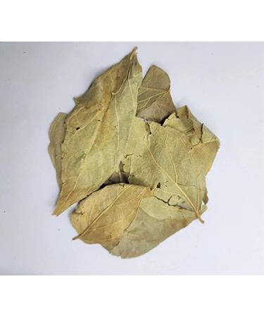 Parijatak Pan - Harshringar Patta - Paarijaat Leaf - Parijat Leaves - - Harshingar Patta - Nyctanthes Arbor-Tristis (100Gms)