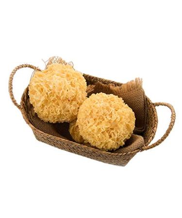 Fujian White fungus silverear mushroom dried for sweet soup 100g