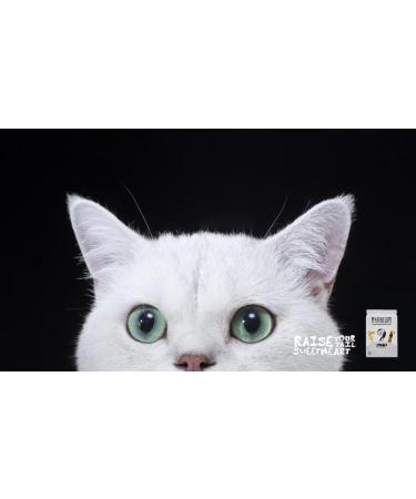 JUNAI Tofu Cat Litter 2.3kg Active-Carbon Pellet Natural Clumping Cat Litter flushable Biodegradable Kitty Litter Good for All cat Litter Box Lightweight dust Free and Odor Control Active-Carbon Pellet One Pack - Buy Online on GoSupps.com